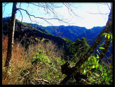 Great Smoky Mountains National Park