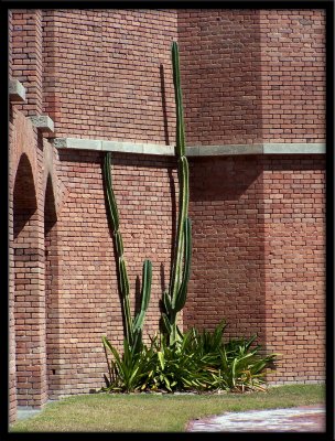 Dry Tortugas Scene 3.jpg