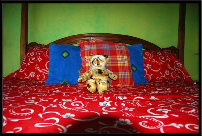 Ocean Key Resort Bear.jpg
