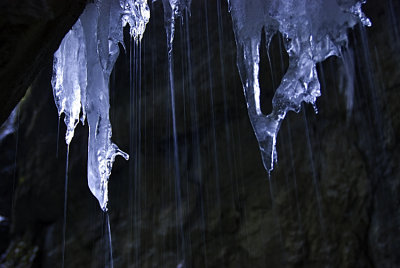 DSC_4498-Edit.jpg