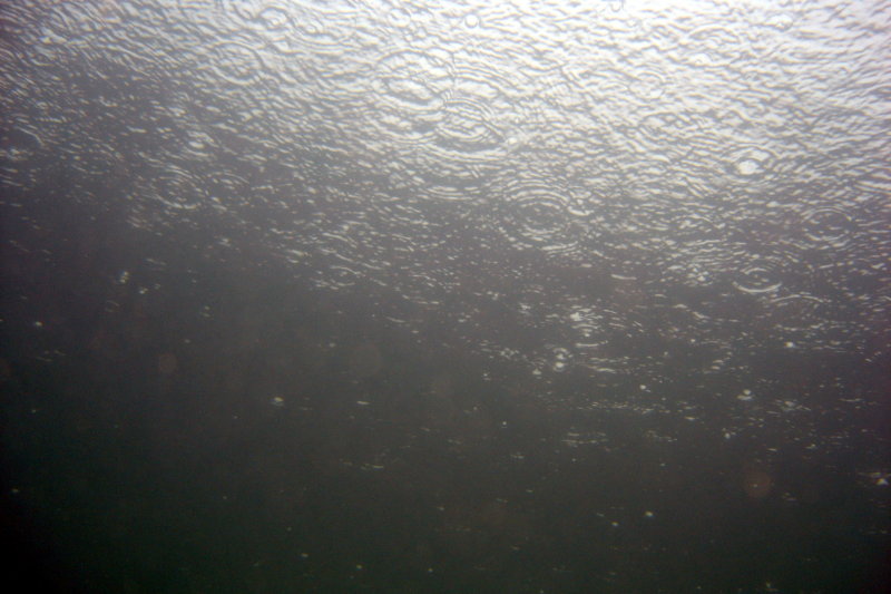 Surface rain drops