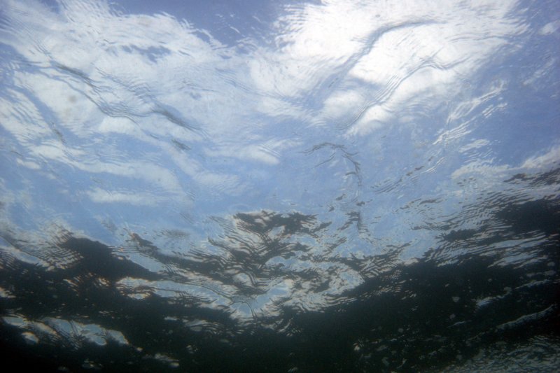 Look up, sunny surface