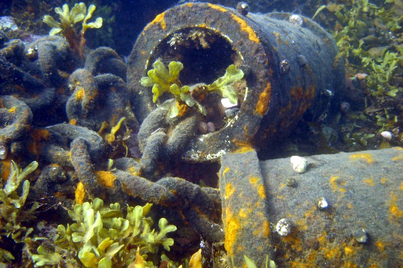 Abandoned (sewer?) pipe