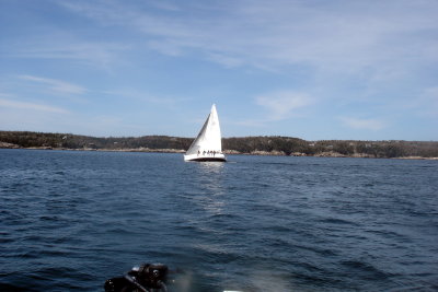 Passing sailboat.. a lot that day!