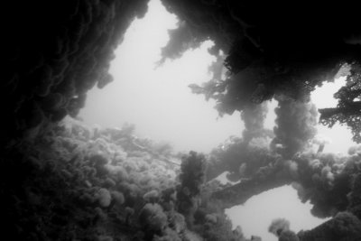 DSC04275 (saganaga).JPG
