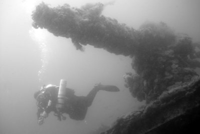 Newfoundland Scuba Diving, June 2007