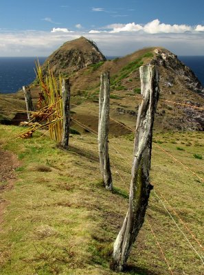 West Maui Fence