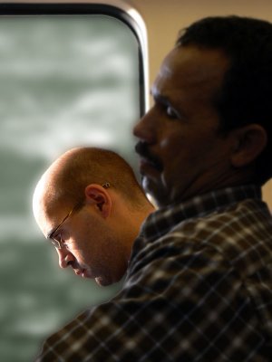 dos perfiles