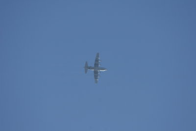 IMG_6401.JPG