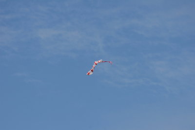 IMG_6521.JPG
