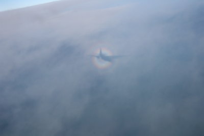 IMG_6575.JPG