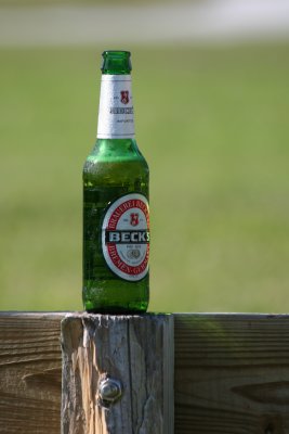 IMG_6885.JPG