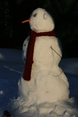 Mad Snowman