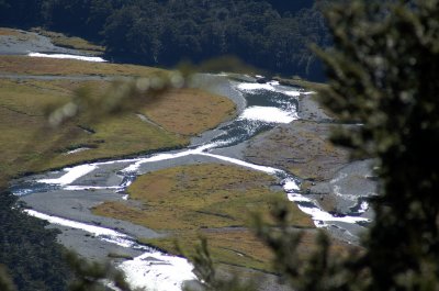 Routeburn Flats