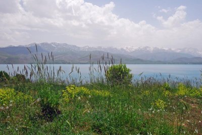 Lake Van Scenery