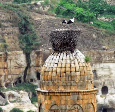 Storks on Nest on Minaret