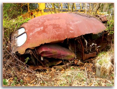 Shell Of A Car