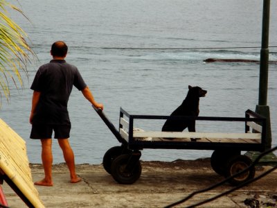 On the Jetty