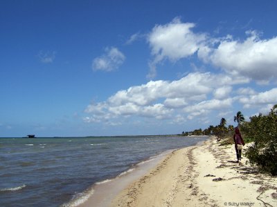 beach, Isla de la Juventud