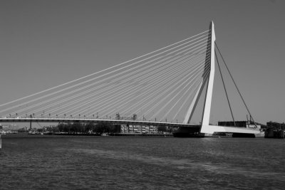 erasmusbrug - rotterdam