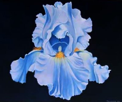 Oil Painting Fantasy Iris