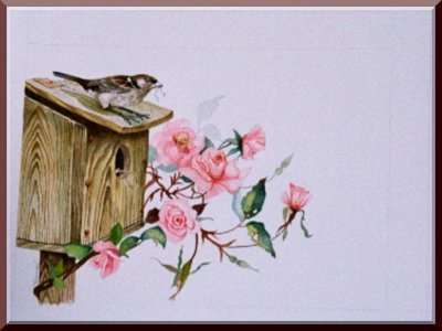 Sparrow on Nesting Box