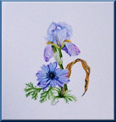 Iris and Anemone