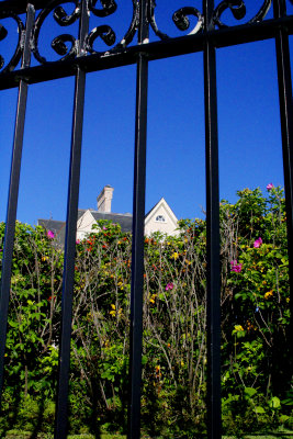 Fenced View*