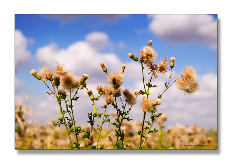 A warm late summers day in England, #2