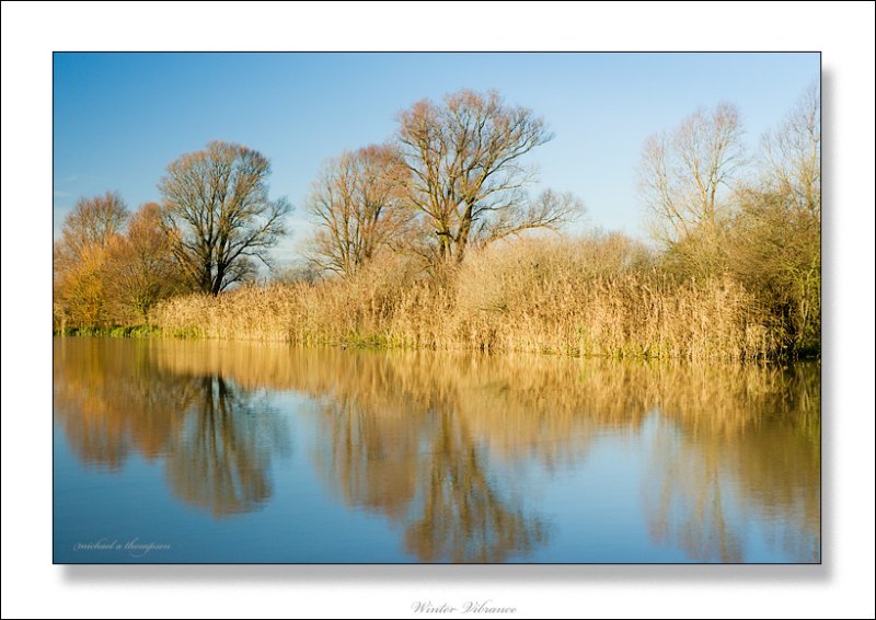Winter Vibrance
