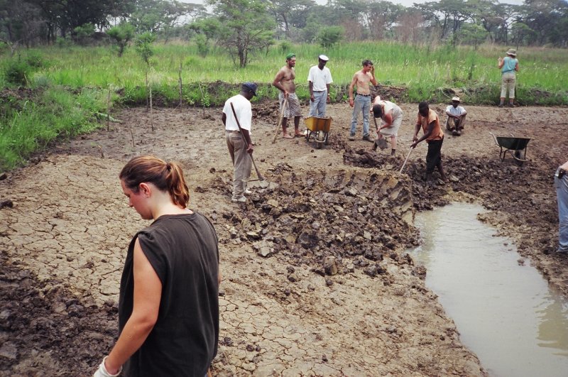 Pond construction