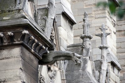 ndgargoyle.jpg