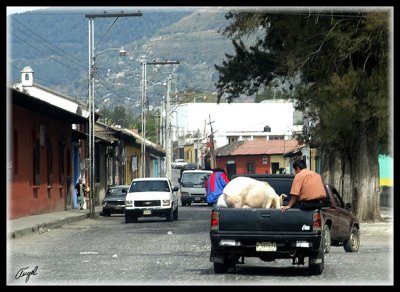 Guatemala-0019.jpg