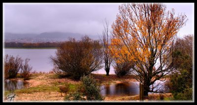 Pantano de santillana 010.jpg