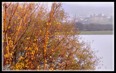 Pantano de santillana 011.jpg