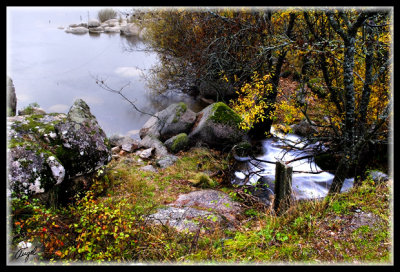 Pantano de santillana 014.jpg