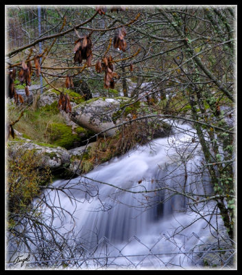 g6/66/262466/3/70818100.K0mHIln1.jpg