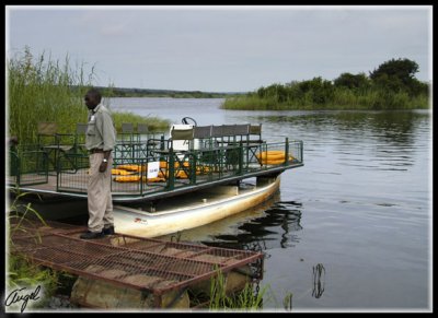 Parque Chobe