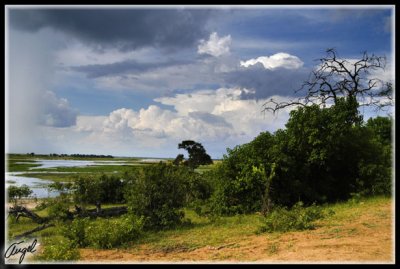 Zambia-1294.jpg