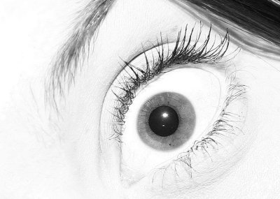 eye