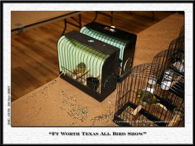 Fort Worth All Bird Show - 2007