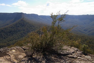 From Mt. Solitary