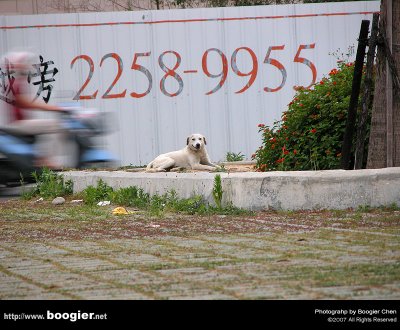 g6/66/374766/3/74515093.zuisr8lc.jpg
