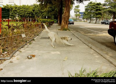 g6/66/374766/3/82515572.4P5AKeog.jpg