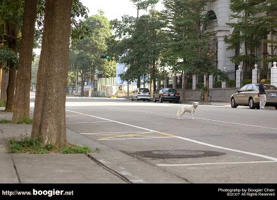g6/66/374766/3/82844243.H2G5NEDG.jpg