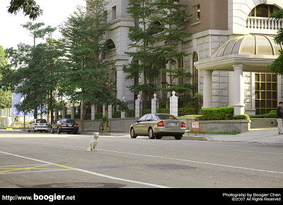 g6/66/374766/3/82844244.jYqijU4j.jpg