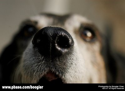g6/66/374766/3/90156173.QFu9k99T.jpg