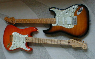 Flame Maple Tops 2