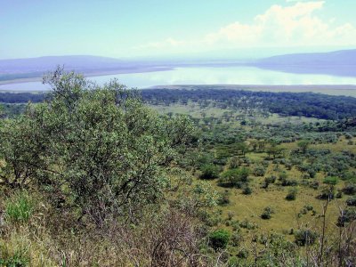 Horft yfir Lake Nakuru