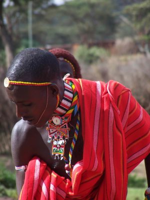 Ungur Samburu-strsmaur